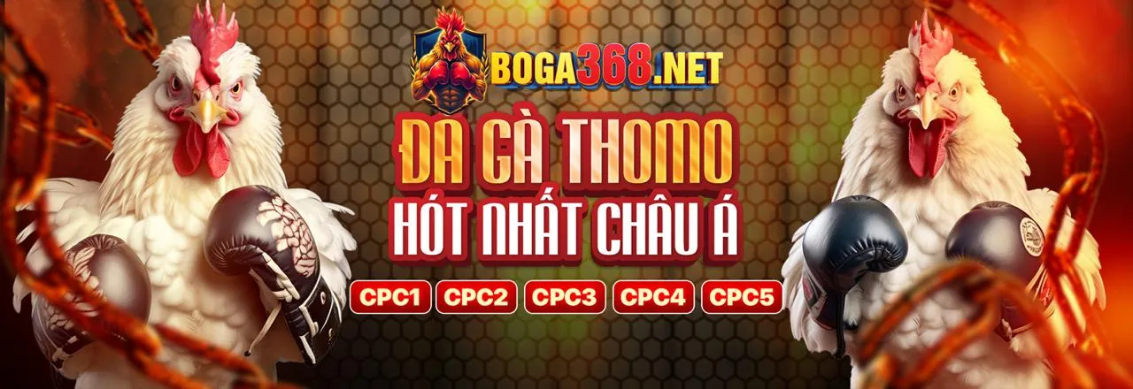Hỗ Trợ Khách Hàng RS88 24/7